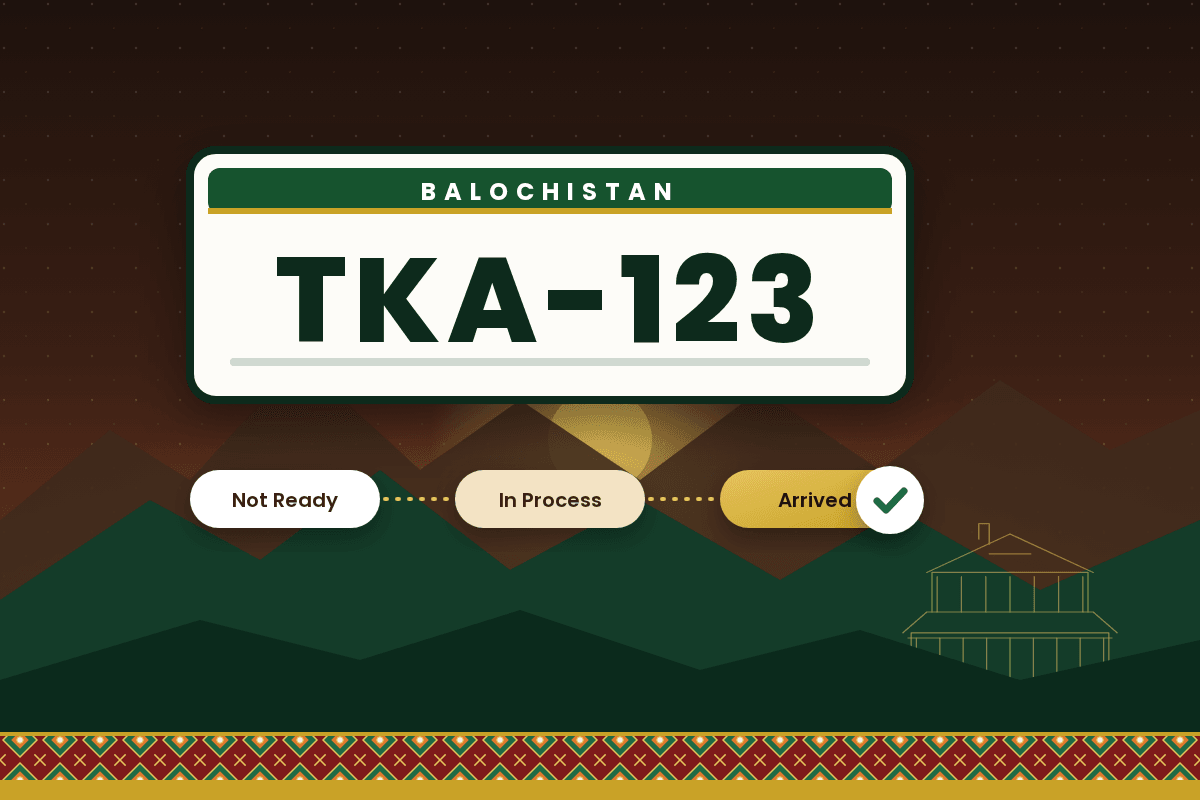 Balochistan number plate status check